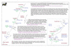 coo0e35 1767 west newf 3_thumb.gif
